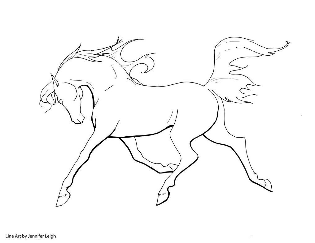 1017x786 Free Arabian Horse Line Art By Jennyleigh