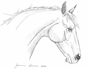 340x270 Horse Art Original Arabian Horse Pen Amp Ink Sketch