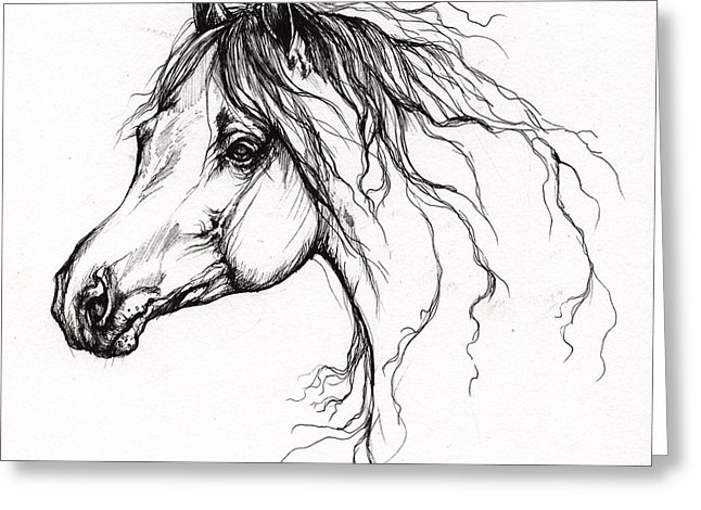 646x470 Arabian Horse Greeting Cards