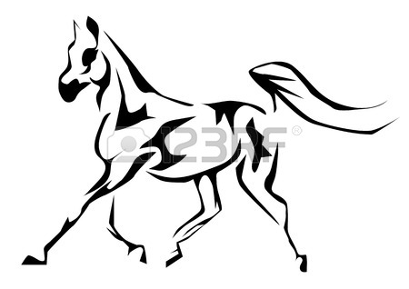 Arabian Horse Head Drawing