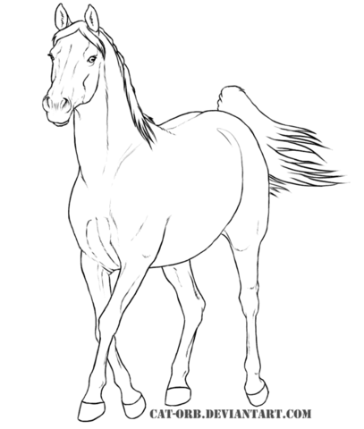 407x480 Arabian Mare Coloring Page Free Printable Coloring Pages