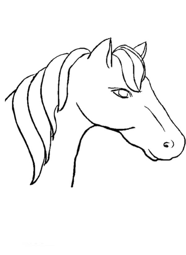 601x825 Horse Head Coloring Page