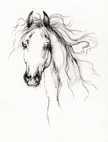 364x479 This Isn'T My Arabian, But It Could Maybe Serve As Inspiration