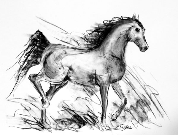 600x456 Arabian Original Art Paintings