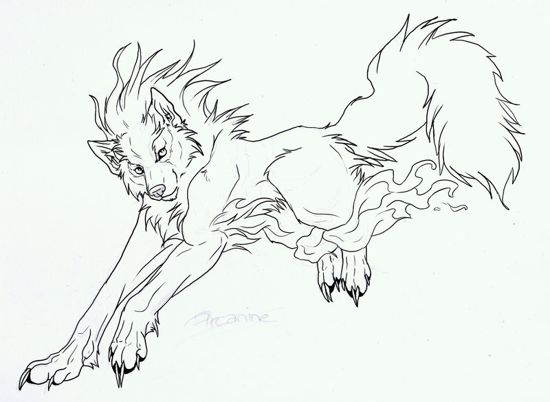 800x585 Arcanine Sketch