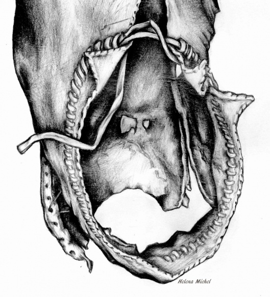 529x583 40 Best Archaeology Illustrations Images