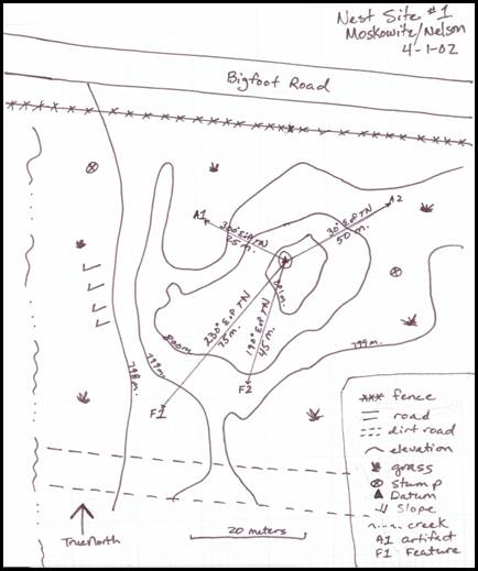434x519 Use Of Archaeological Methods In The Collection Of Data Related