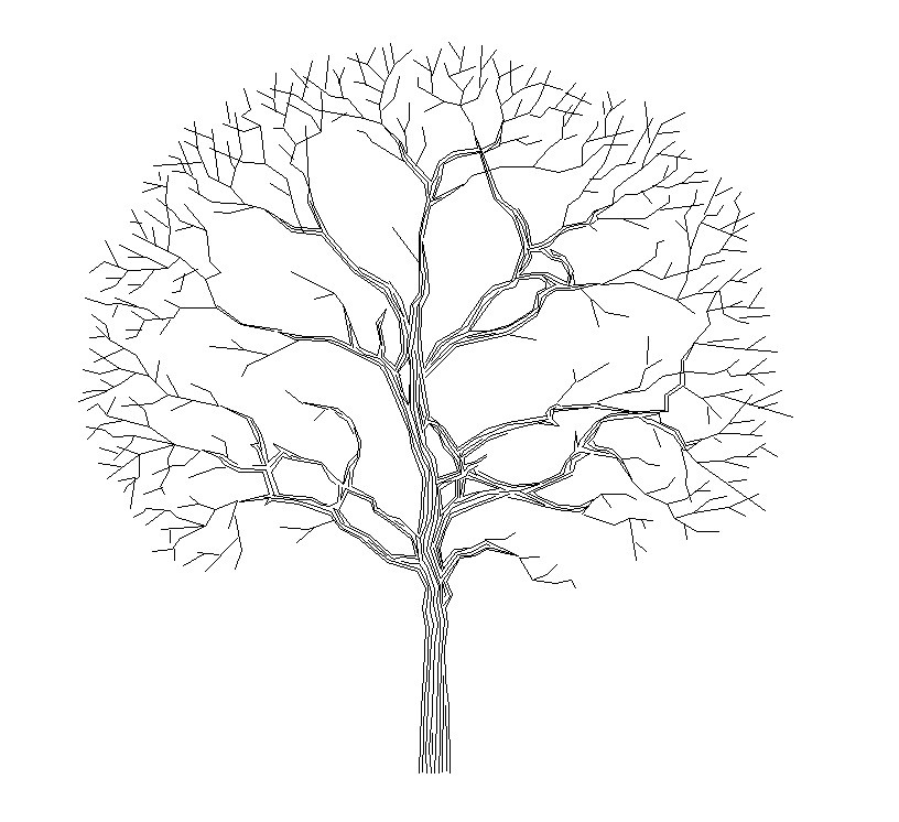 Architectural Tree Drawing at GetDrawings | Free download