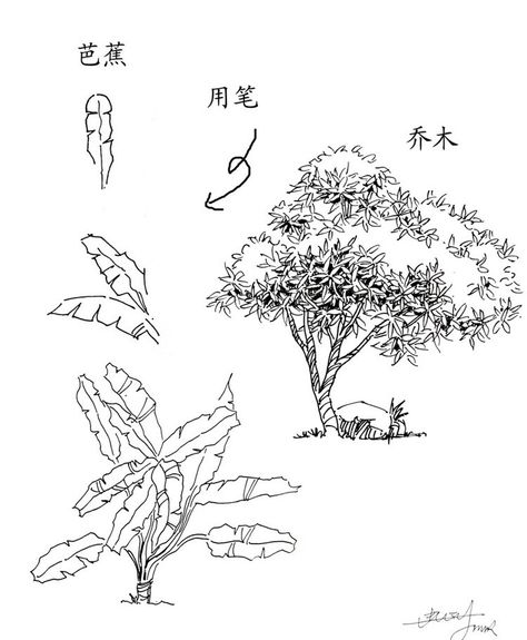 474x575 Trees Sketch Sketch Tree Sketches, Sketches