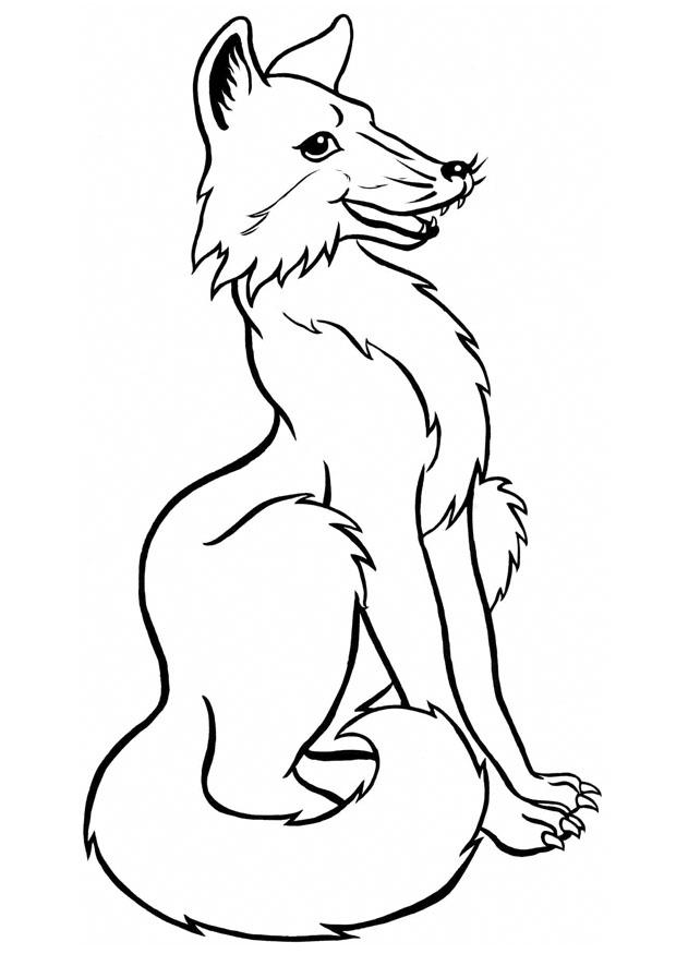 620x875 Arctic Fox Coloring Pages 574465