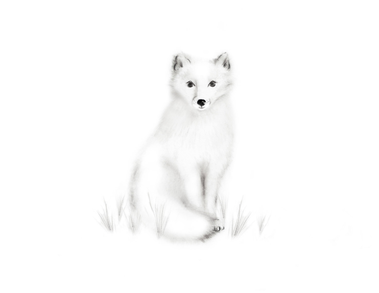1500x1159 Arctic Fox Nursery Art Pencil Drawing Gender Neutral Baby