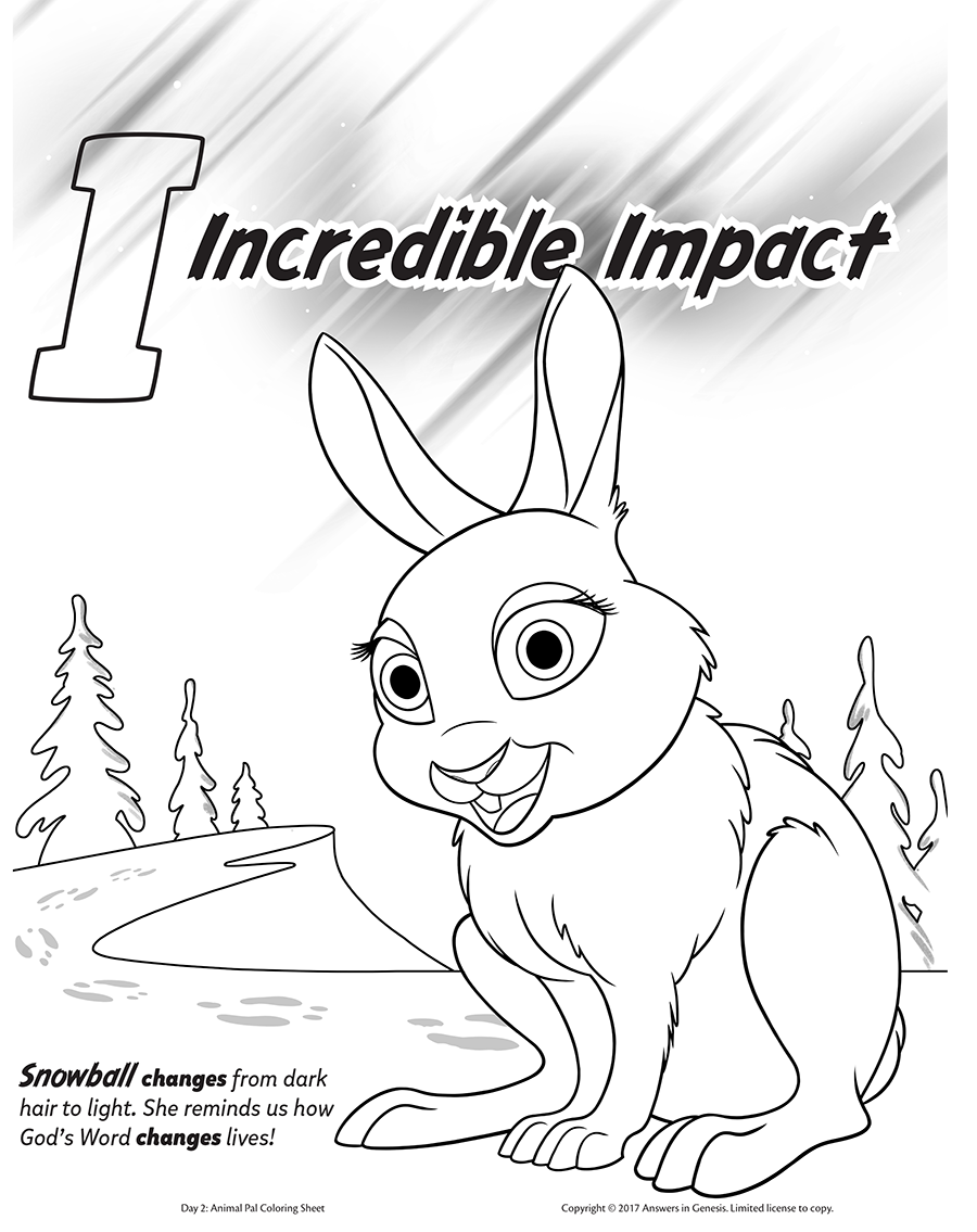 900x1135 Snowball The Arctic Hare Kids Answers