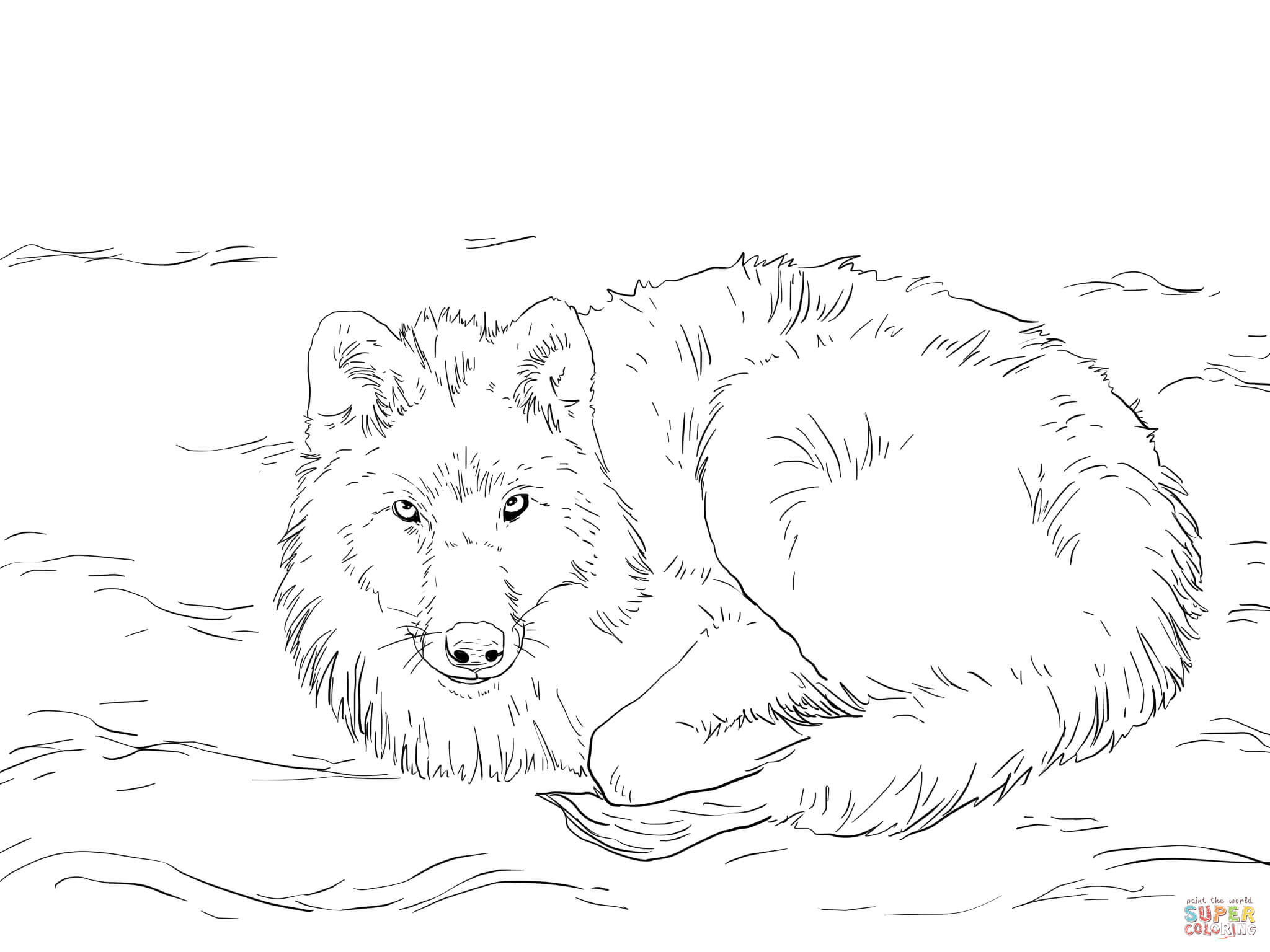 2048x1536 Arctic Wolf Coloring Pages
