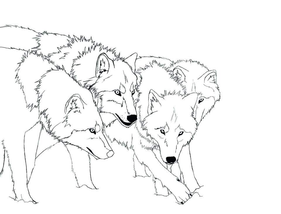 960x733 Wolf Coloring Pages Free Anime Wolf Coloring Pages Wolf Pack
