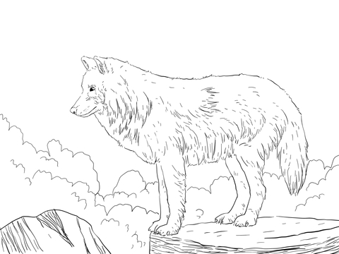 480x360 Arctic Snow Wolf Coloring Page Free Printable Coloring Pages