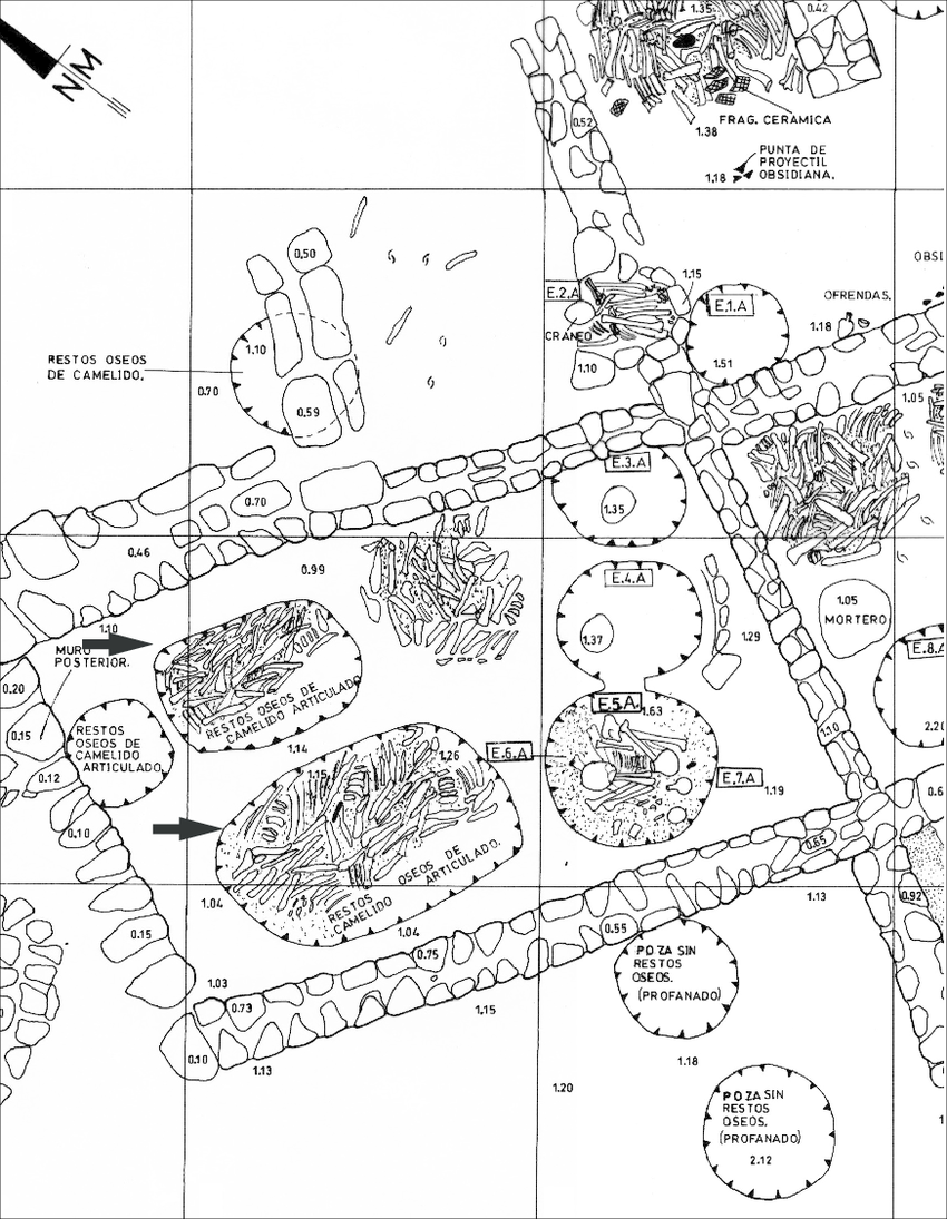 850x1095 Wari Cemetery Area