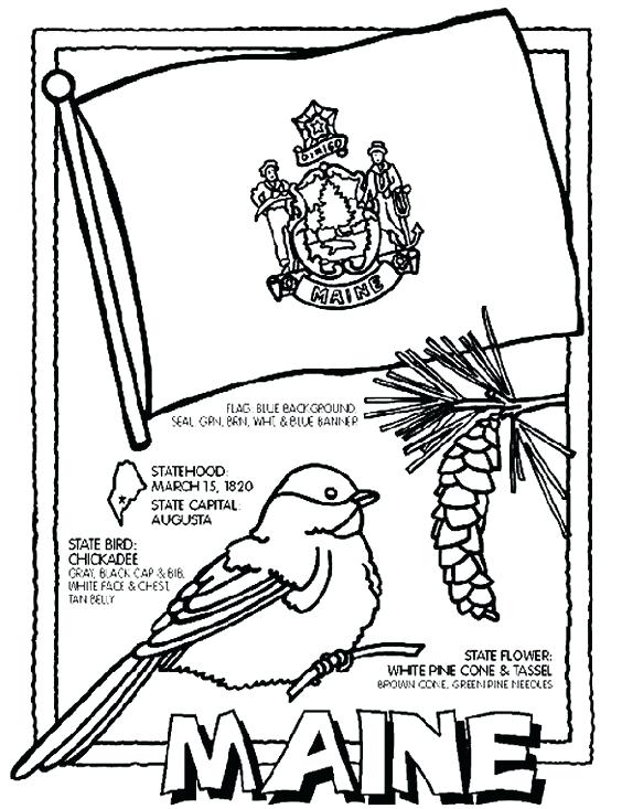 564x733 Argentina Coloring Pages Flag Of Coloring Page Coloring Page Sport
