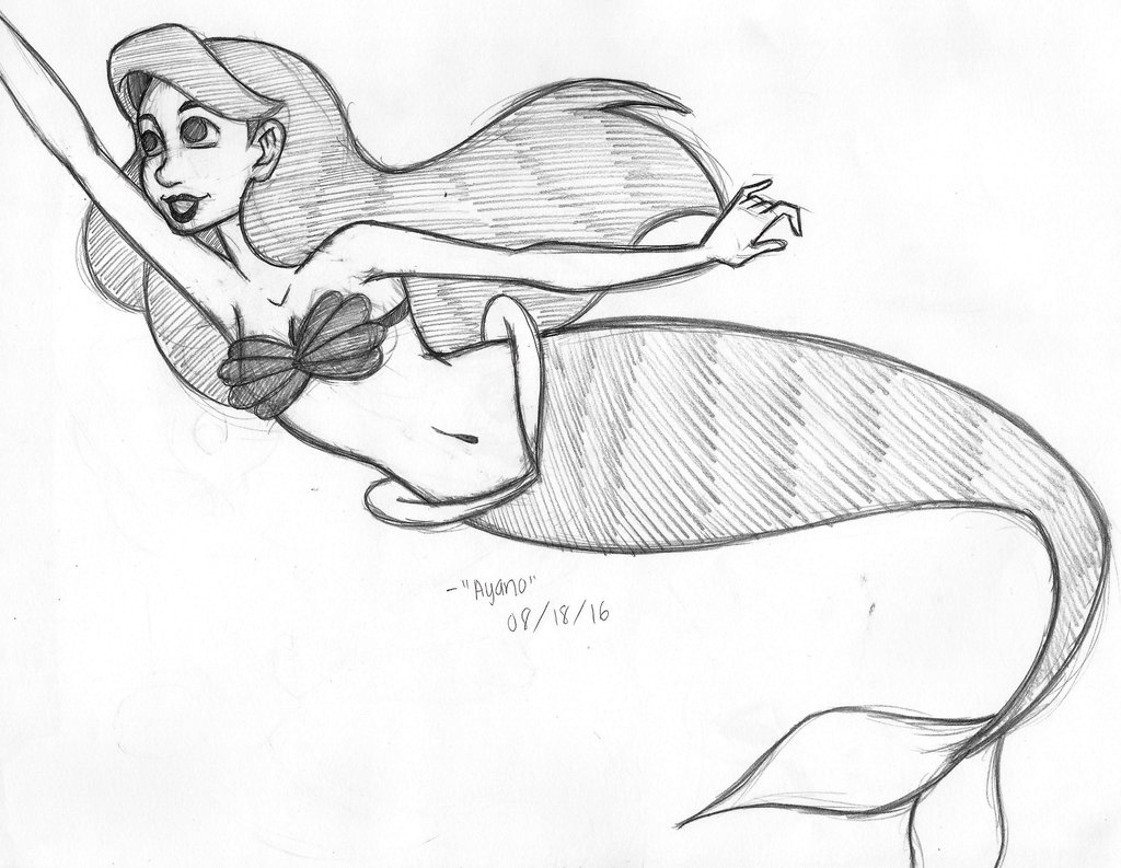 1024x793 Ariel (Little Mermaid Fan Art Sketch) By Nekonorales