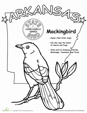 301x389 Arkansas State Bird Worksheet