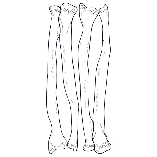 544x544 Glow In The Dark Arm Bones Tattoo Tattooforaweek Temporary