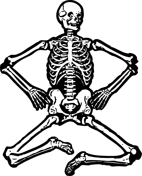 480x593 Human Skeleton Clip Art