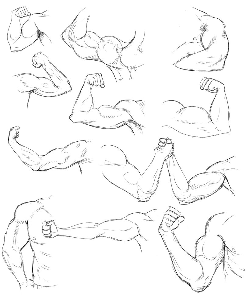 808x988 Arm Life Drawing Practice By Temiree