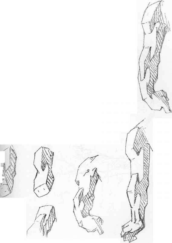 569x801 Masses Of The Shoulder And Arms