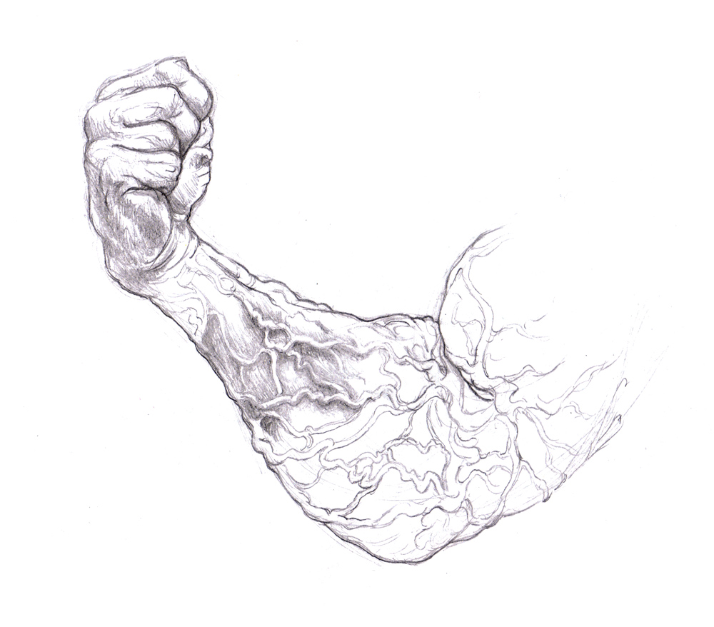 1000x878 Magellin Blog Arm Veins Sketch