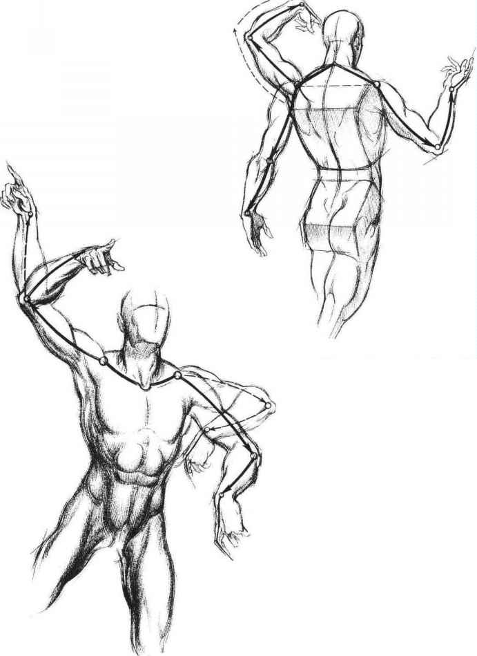 691x949 The Arms Are Third In Importance