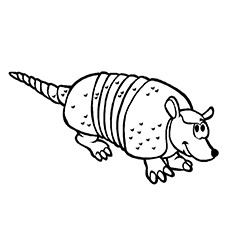 Search for Armadillo drawing at GetDrawings.com