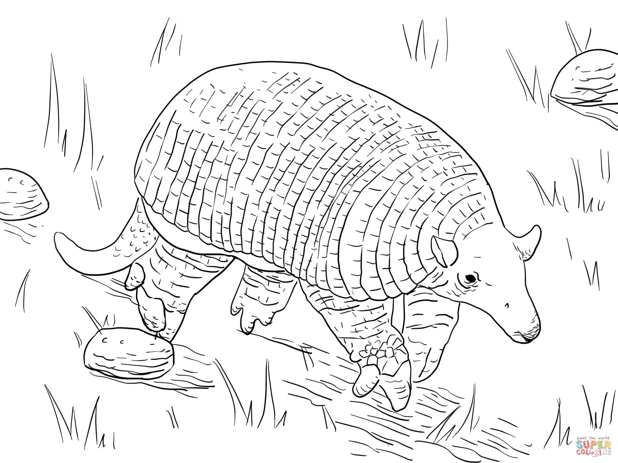 2048x1535 Giant Armadillo Coloring Page Free Printable Coloring Pages