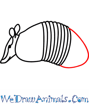 300x350 How To Draw An Armadillo