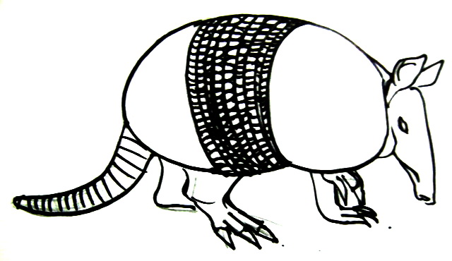 640x370 How To Draw An Armadillo