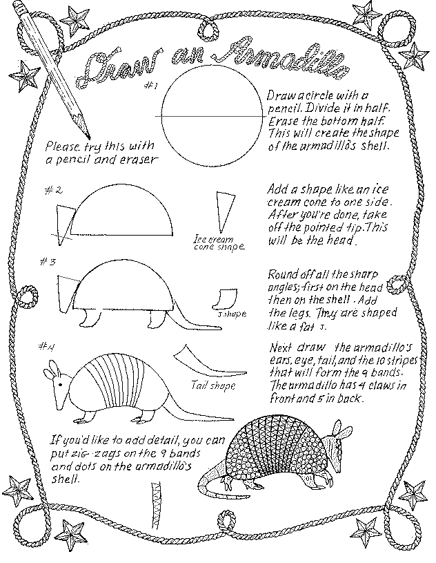 632x815 Learn To Draw An Armadillo