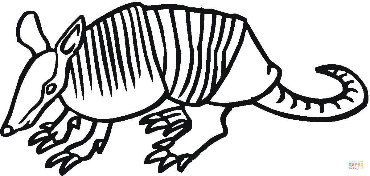 1200x572 Armadillo 17 Coloring Page Free Printable Coloring Pages