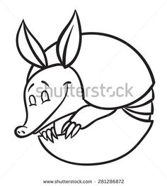 236x262 One Of The Few Cute Armadillos I Have Seen Tottoos