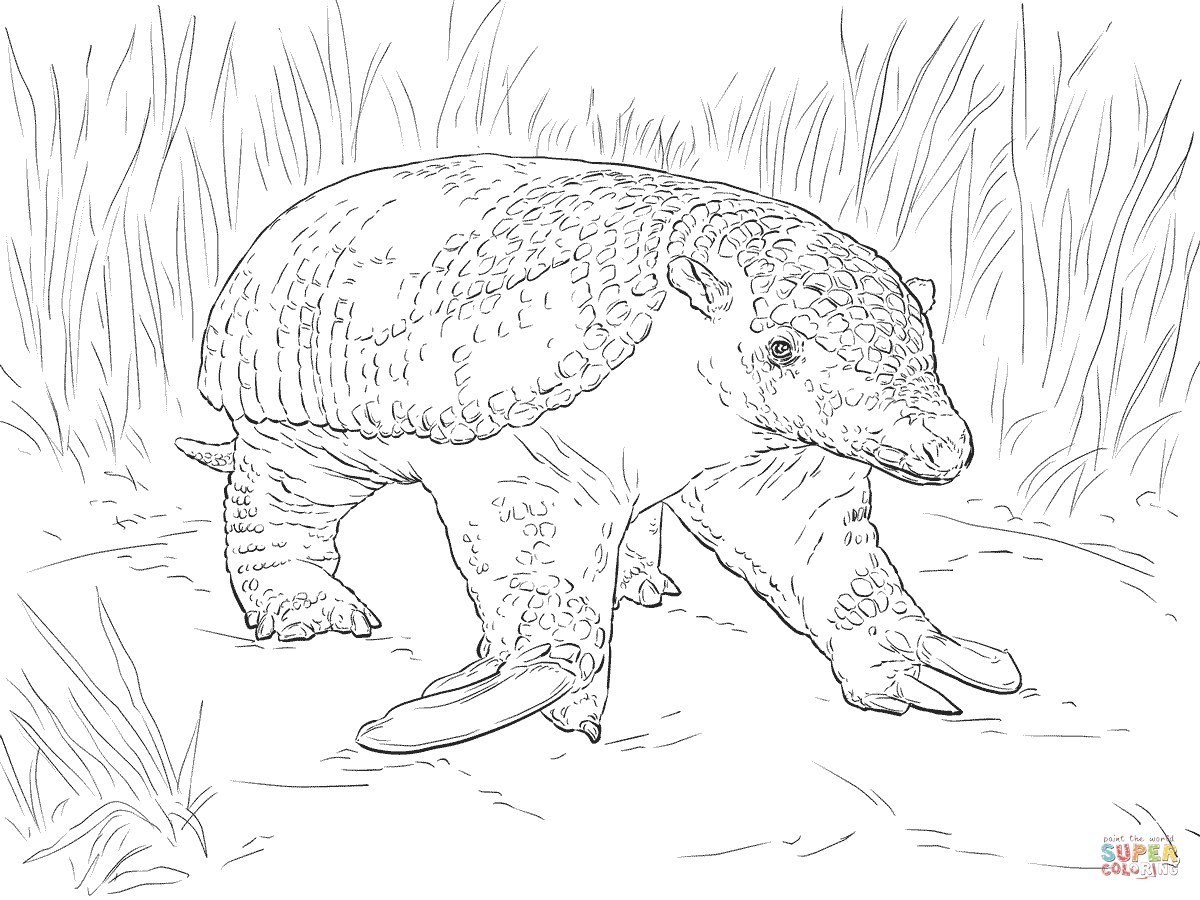 1200x900 Realistic Giant Armadillo Coloring Page Free Printable Coloring