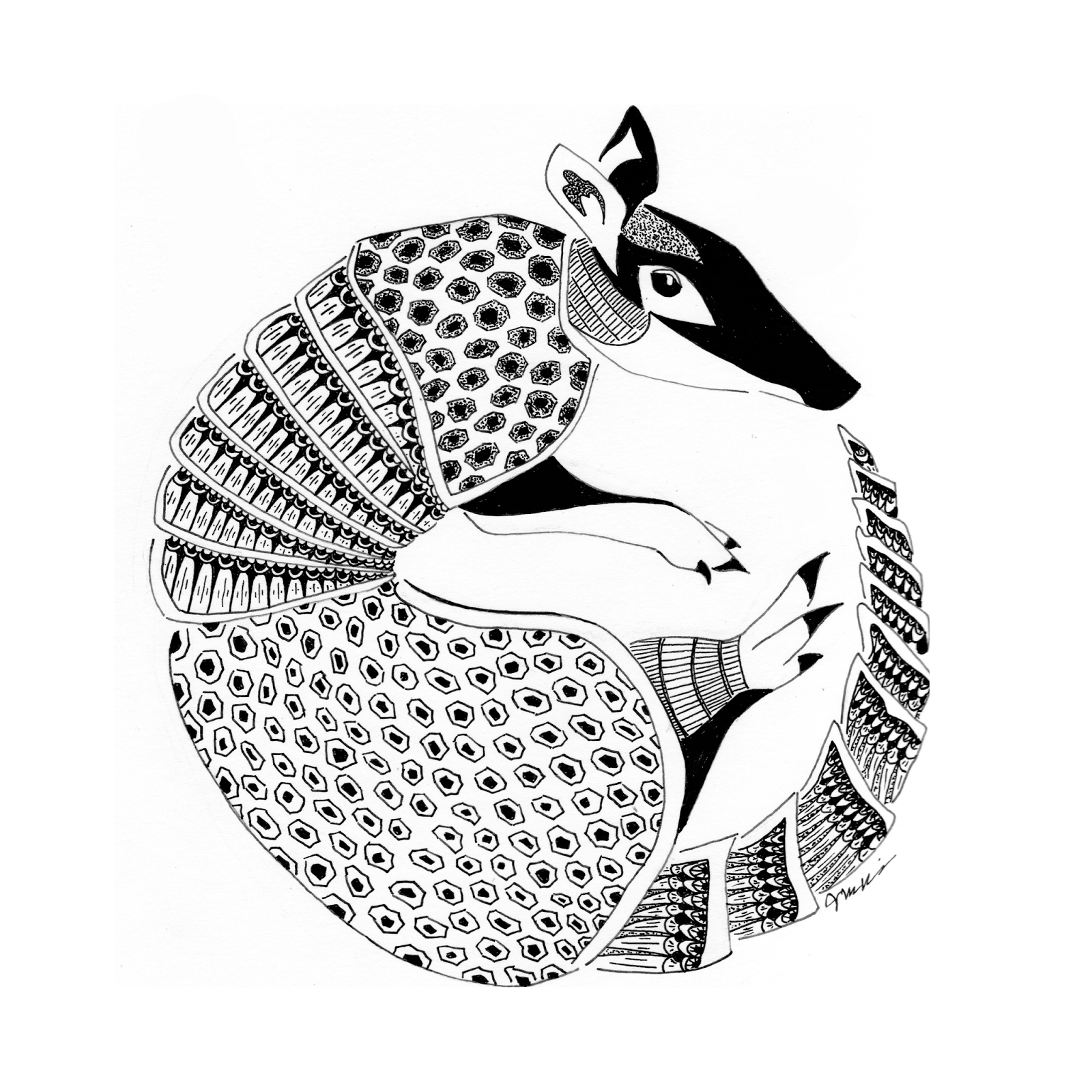 1600x1600 Wise Ramblings Aardvarks, Anteaters, Armadillos And Ants