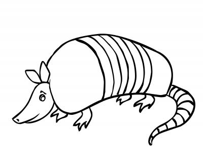 400x309 Armadillo Cartoon Pictures