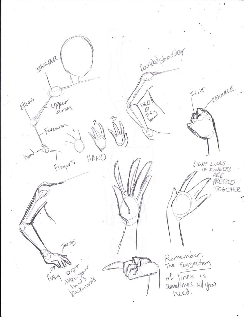 785x1018 How To Draw Celeste Pt 5 Arms By Kivabay