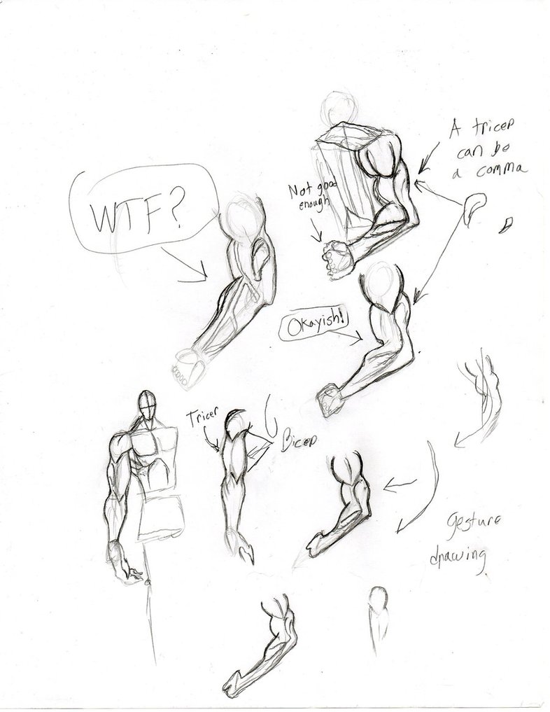 786x1017 Drawing The Arm By Freshbreath3