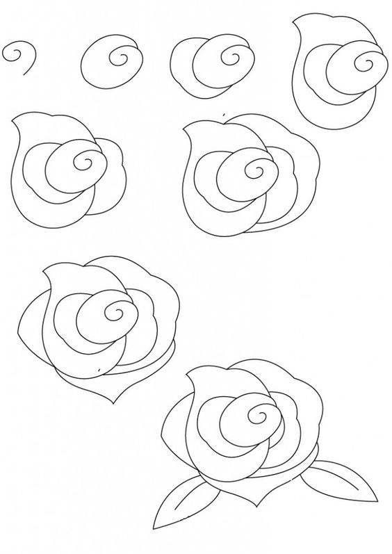 564x797 Drawn Rose Simple Pencil And In Color Drawn Rose Simple How