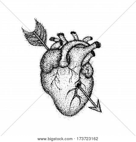 450x470 Dotwork Heart Arrow. Vector Vector Amp Photo Bigstock