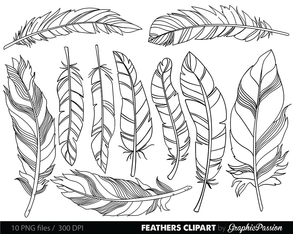 1000x799 Feather Clipart Clip Art Vectors Tribal Feather Drawings Clip