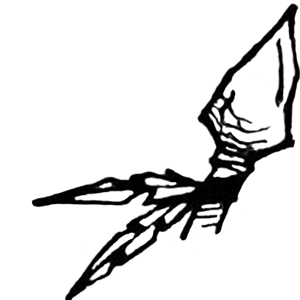 1000x1000 Arrowhead Outfitters