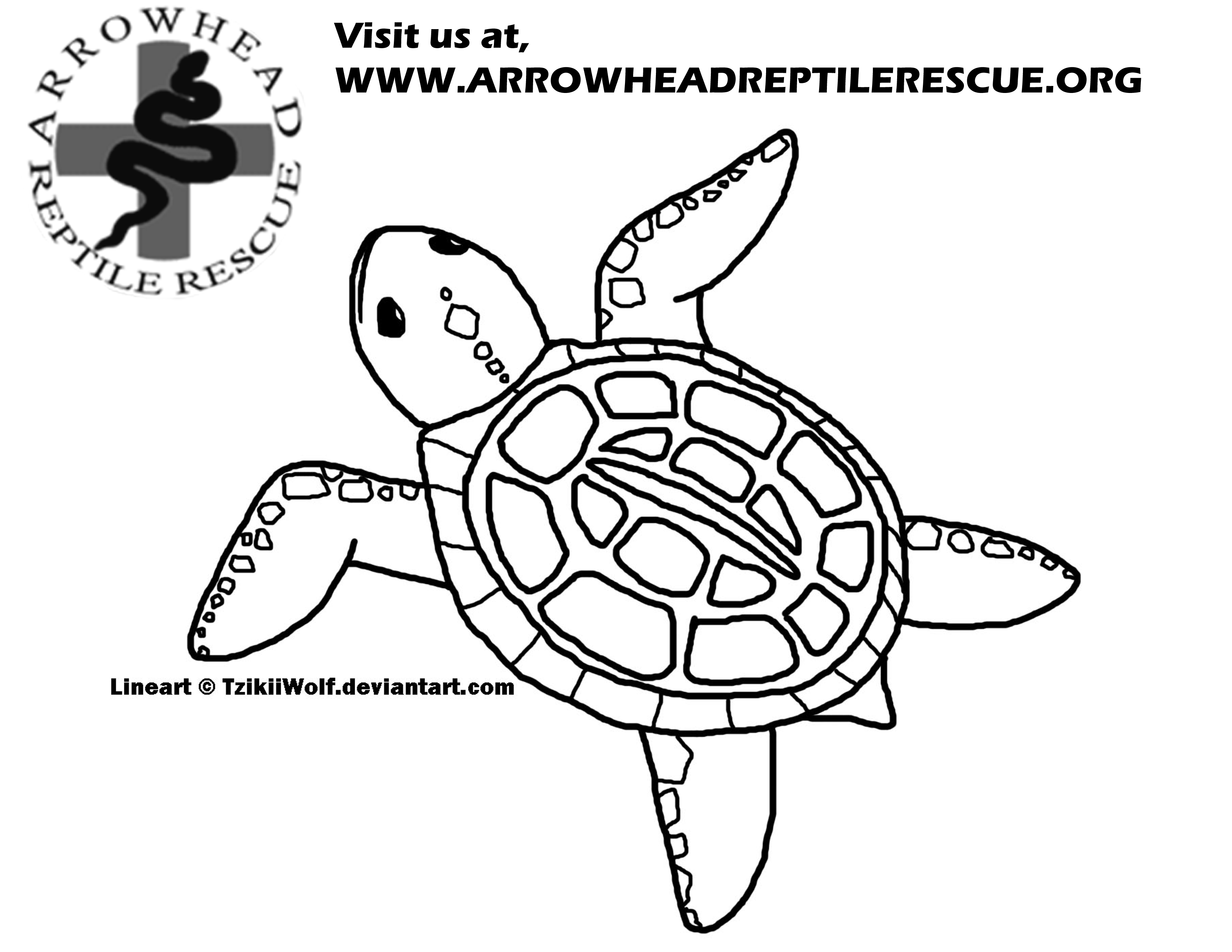 3300x2550 Arrowhead Reptile Rescue