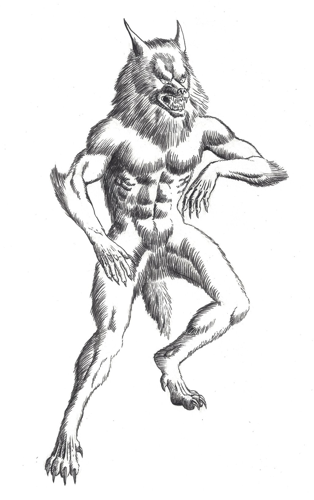 1024x1630 Werewolf (Brush And Ink) By Crazyeric24