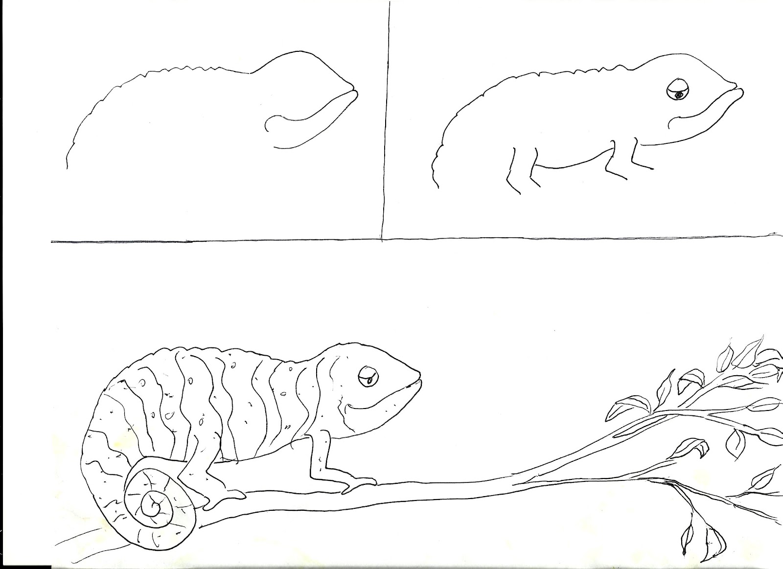 1600x1163 Chameleons Art Class Ideas
