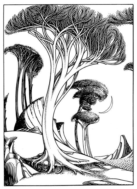 472x652 Art Nouveau Picture Gallery