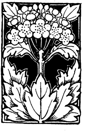 288x435 Drawings Of Flowers